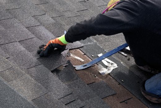Roofer using prybar to look under shingles. Concept for roof repair vs roof replacement